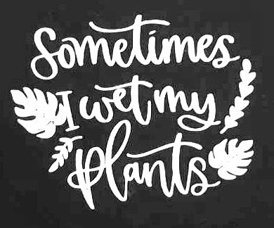 Decal- Sometimes I Wet My Plants